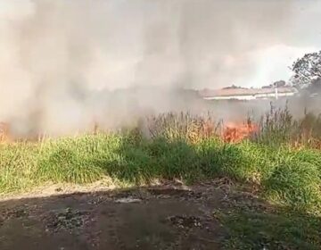 Incêndio ‘repetido’ em terreno baldio preocupa moradores no Igarapé da Fortaleza