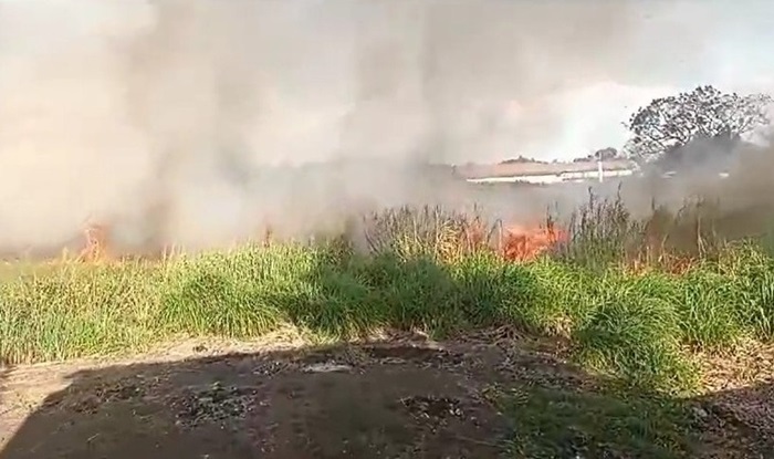 Incêndio ‘repetido’ em terreno baldio preocupa moradores no Igarapé da Fortaleza