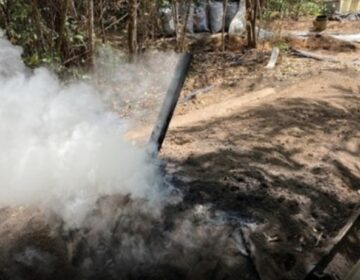 Polícia prende três homens por produção ilegal de carvão em Macapá