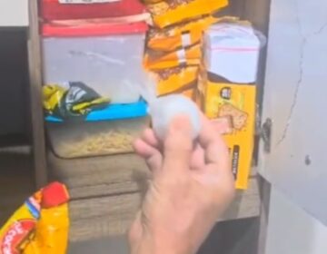 Casa de fornecedor tinha drogas escondidas e espalhadas pela cozinha, diz polícia