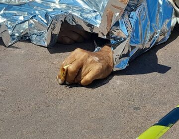 Homem é morto após sair de casa para pagar peixe que comprou no fiado