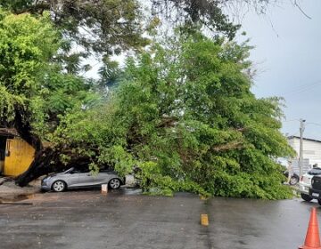 Tempestade de relâmpagos assusta moradores de Macapá