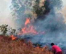 Incêndio descontrolado ameaça comunidade rural em Serra do Navio