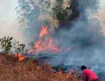 Incêndio descontrolado ameaça comunidade rural em Serra do Navio