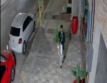 ‘Larápio verde’: polícia procura ladrão especializado em furtar flores e plantas ornamentais