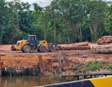 TRF1 suspende sentença e libera exploração de madeira em Mazagão