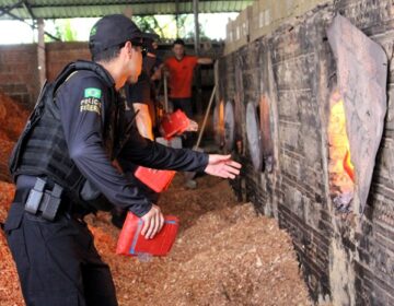 Cocaína apreendida em casco de navio e outras drogas são incineradas em Macapá