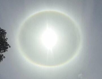 Círculo ‘aparece’ ao redor do sol e intriga amapaenses; saiba o que é este fenômeno