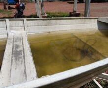 Sucateado: a situação do órgão que cuida da malária e da dengue em Macapá, segundo servidores
