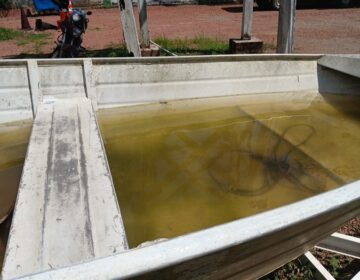 Sucateado: a situação do órgão que cuida da malária e da dengue em Macapá, segundo servidores