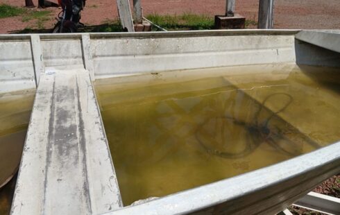 Sucateado: a situação do órgão que cuida da malária e da dengue em Macapá, segundo servidores