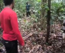 Bando armado invade garimpo, tortura garimpeiros e rouba ouro