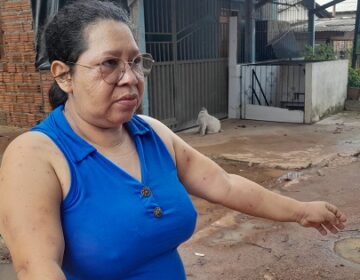 “Foi aterrorizante, pensei que ia morrer”, diz professora atacada por abelhas em Macapá