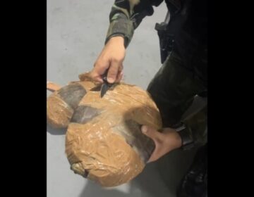 Mulher é flagrada transportando tracajás vivos e ‘embalados’ com fitas adesivas