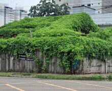 Casa que pertenceu a personalidades de Macapá é ‘engolida’ por vegetação no Centro