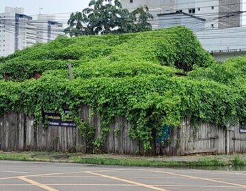 Casa que pertenceu a personalidades de Macapá é ‘engolida’ por vegetação no Centro