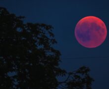 Lua de Sangue iluminará céu de Macapá na madrugada de quinta