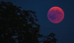 Lua de Sangue iluminará céu de Macapá na madrugada de quinta