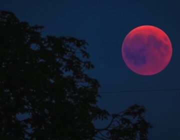 Lua de Sangue iluminará céu de Macapá na madrugada de quinta