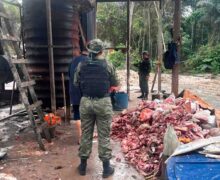 Mau cheiro: fábrica clandestina que usava restos de açougue é fechada