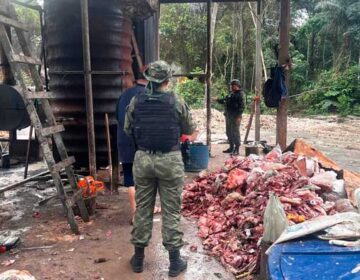 Mau cheiro: fábrica clandestina que usava restos de açougue é fechada