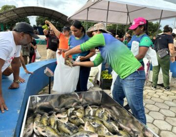 Tartarugal impulsiona piscicultura e agricultura com feira de pescado e melancia