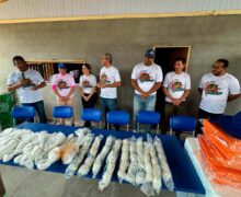 Com fim do defeso, Amapá inicia período oficial de pesca