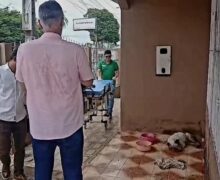 Trancada, ferida e sem comida, cadela estava à beira da morte