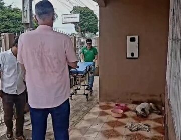 Trancada, ferida e sem comida, cadela estava à beira da morte