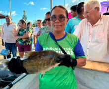 Tartarugalzinho garante 12 toneladas de peixe barato na Semana Santa