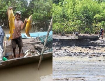 Após 11 dias, Bombeiros encerram buscas por pescador desaparecido em pororoca