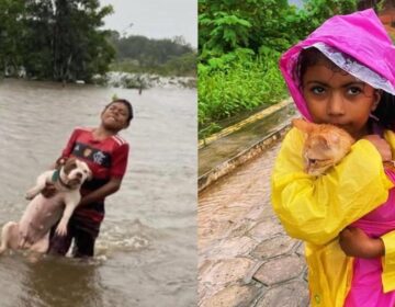 Crianças enfrentam enchente para salvar animais em Tartarugalzinho