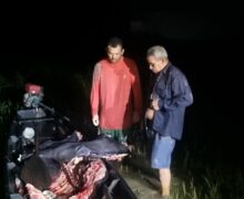Polícia Ambiental intercepta carne de gado furtado no interior do Amapá; 2 são presos