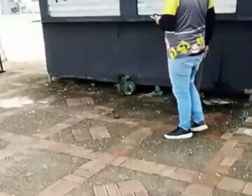 Após fake news sobre morte de gato, instrutor inocente recebe ameaças de morte