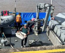 Embarcação com 5 toneladas de gurijuba e 200 kg de grude é apreendida na costa