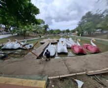 Polícia investiga mortandade de peixes na Praça Floriano Peixoto após ‘Pescaria do Trabalhador’