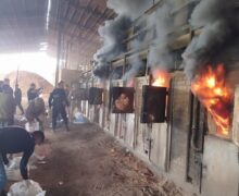 No Amapá, uma tonelada de drogas é incinerada em operação