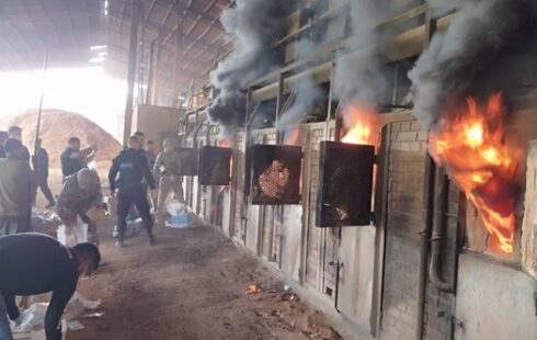 No Amapá, uma tonelada de drogas é incinerada em operação