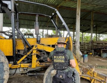 Floresta foi desmatada para criação de gado e lavagem de dinheiro, diz PF