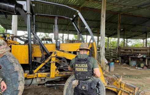 Floresta foi desmatada para criação de gado e lavagem de dinheiro, diz PF