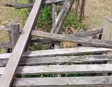 Bailique: passarelas da Macedônia entram em colapso e moradores ficam isolados