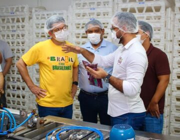 Com açaí tarifado pelos EUA, Randolfe articula apoio em busca de novos mercados