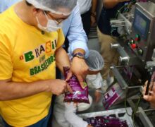 Portaria permite compra de açaí do Amapá após tarifaço dos EUA
