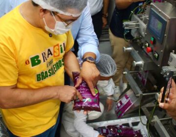 Portaria permite compra de açaí do Amapá após tarifaço dos EUA