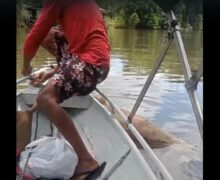 Botos achados mortos com perfurações intrigam e indignam ribeirinhos no Amapá