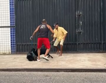 Briga entre vizinhos envolve até cães e vídeo viraliza nas redes