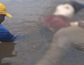 Chacina no Vale do Jari: sobe para 6 o número de mortos em área de garimpo