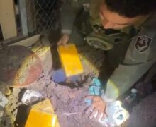 GTA descobre cocaína enterrada em quintal: 7 kg