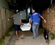 Mulher é executada e irmão fica ferido durante invasão em área dominada por facção