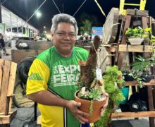 Expofeira: artesão transforma madeira descartada em arte e já tem clientes europeus